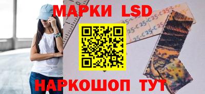 индика Нальчик
