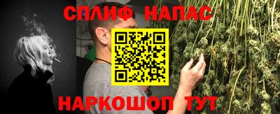 индика Нальчик