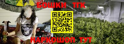 индика Нальчик