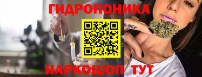 индика Нальчик
