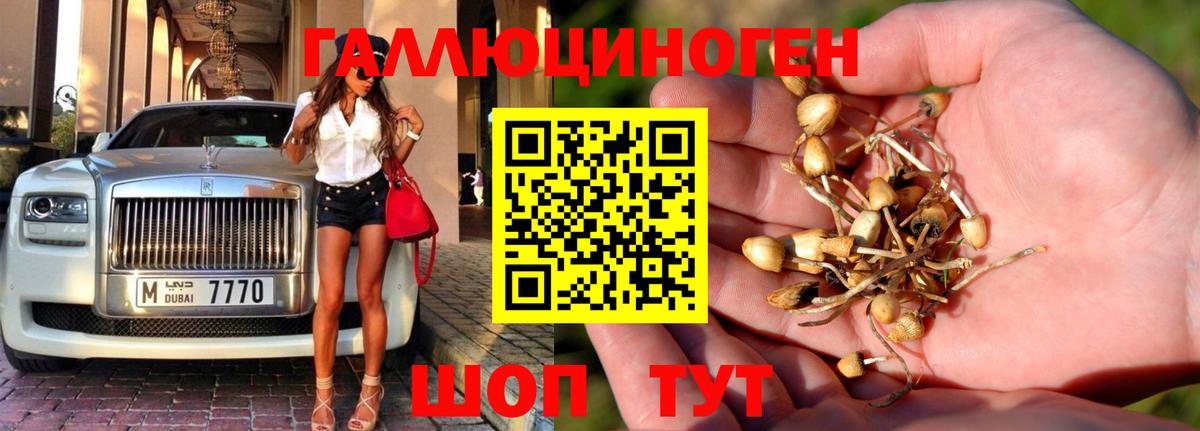 Псилоцибиновые грибы GOLDEN TEACHER  Вход с VPN  Азов 