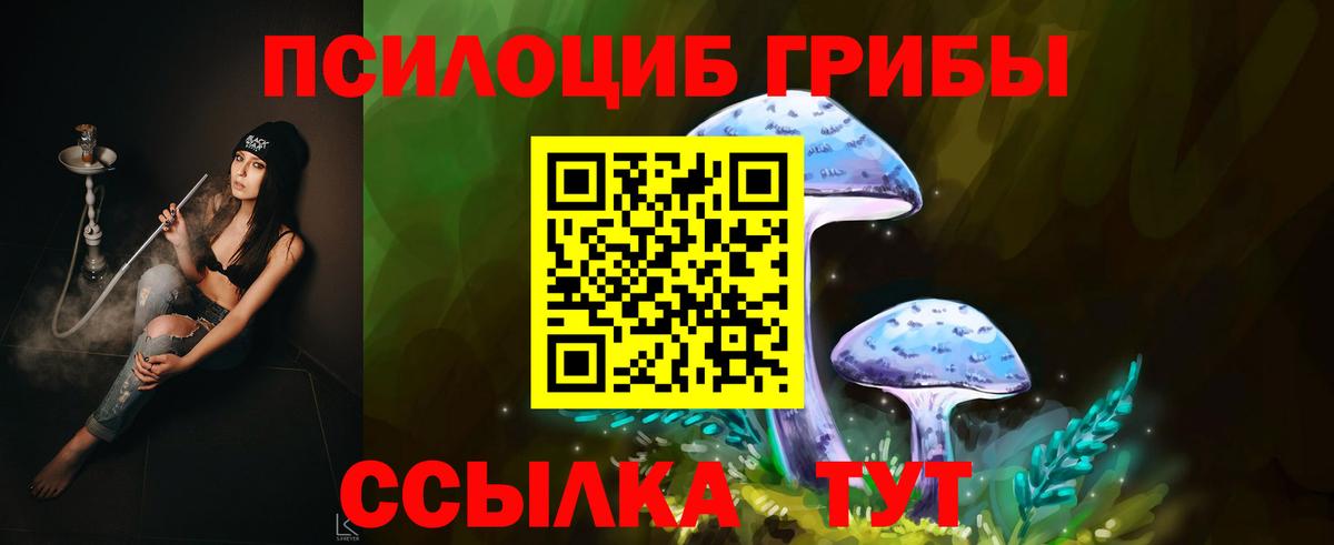 Псилоцибиновые грибы мухоморы Азов